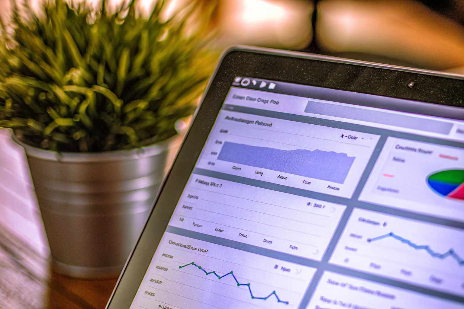SEO-Tool zur Keyword-Analyse