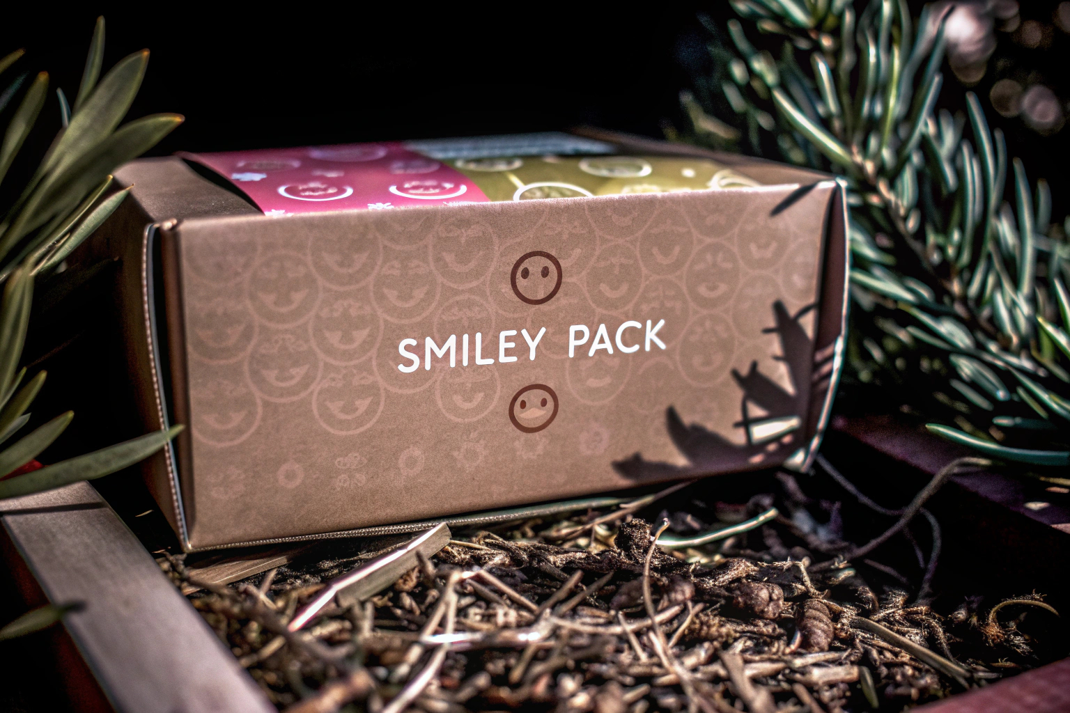 smiley pack Maxibriefkarton