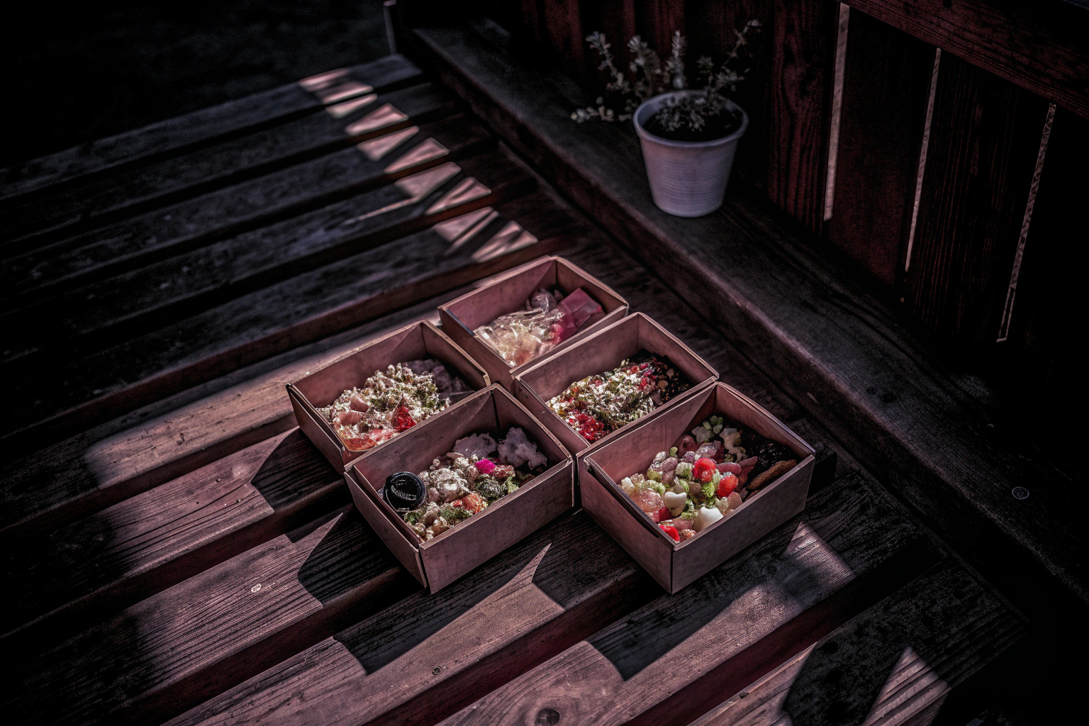 Kompostierbare Zuckerrohr Boxen von Hypafol